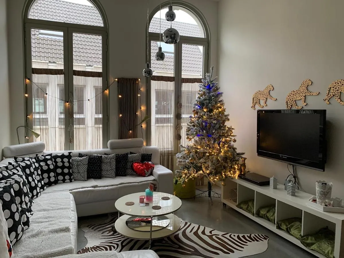 Apartamento Wellness Loft With Sauna, Jacuzzi, Roof Terrace & Amazing View Amberes 0*,