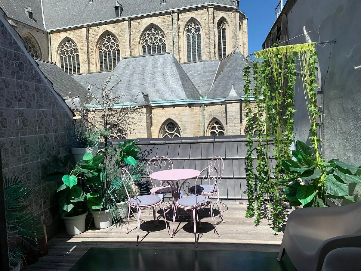 Apartamento Wellness Loft With Sauna, Jacuzzi, Roof Terrace & Amazing View Amberes 0*,